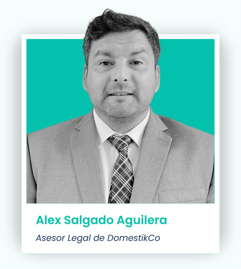 Alex Salgado Aguilera - Abogado Laboral de DomestikCo​