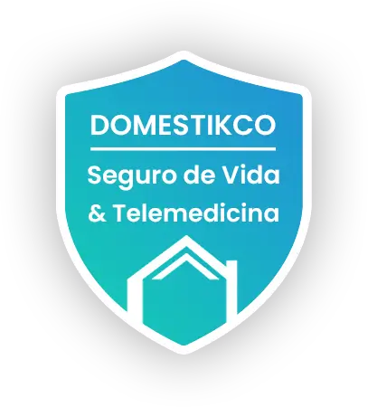 Insignia Seguro de Vida y Telemedicina de Domestikco